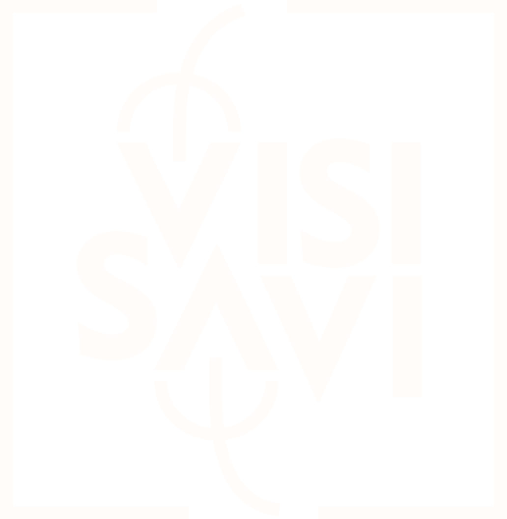 VISI SAVI